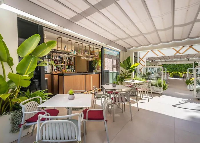 Occidental Puerto Banus